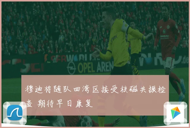穆迪将随队回湾区接受核磁共振检查 期待早日康复