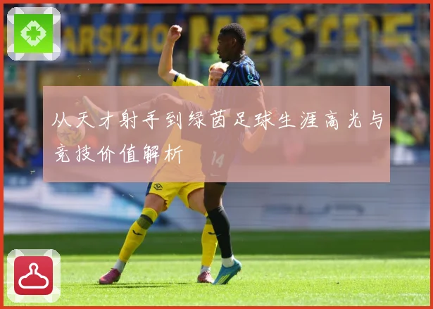 从天才射手到绿茵足球生涯高光与竞技价值解析