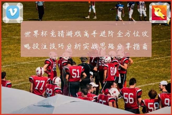 世界杯竞猜游戏高手进阶全方位攻略投注技巧分析实战思路分享指南