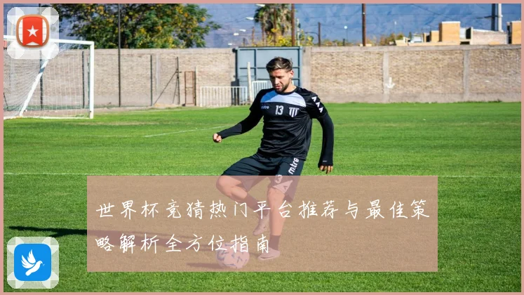 世界杯竞猜热门平台推荐与最佳策略解析全方位指南